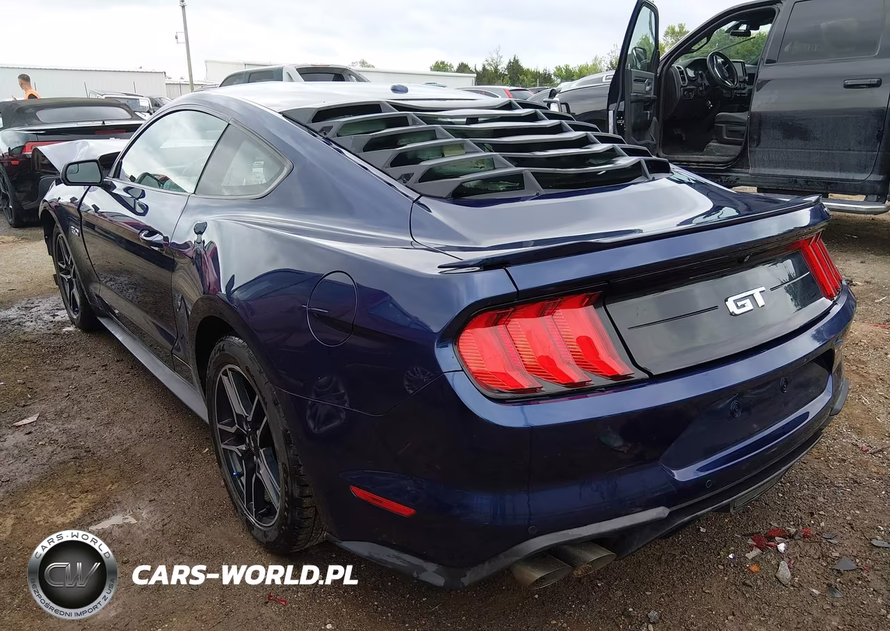 2019 Ford Mustang Gt VIN:1FA6P8CF0K5138119 - 3