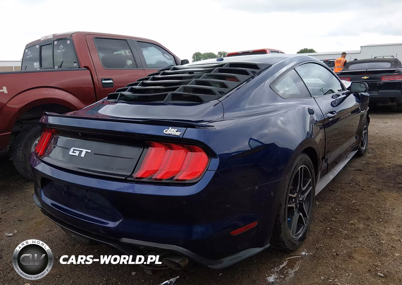 2019 Ford Mustang Gt VIN:1FA6P8CF0K5138119 - 4