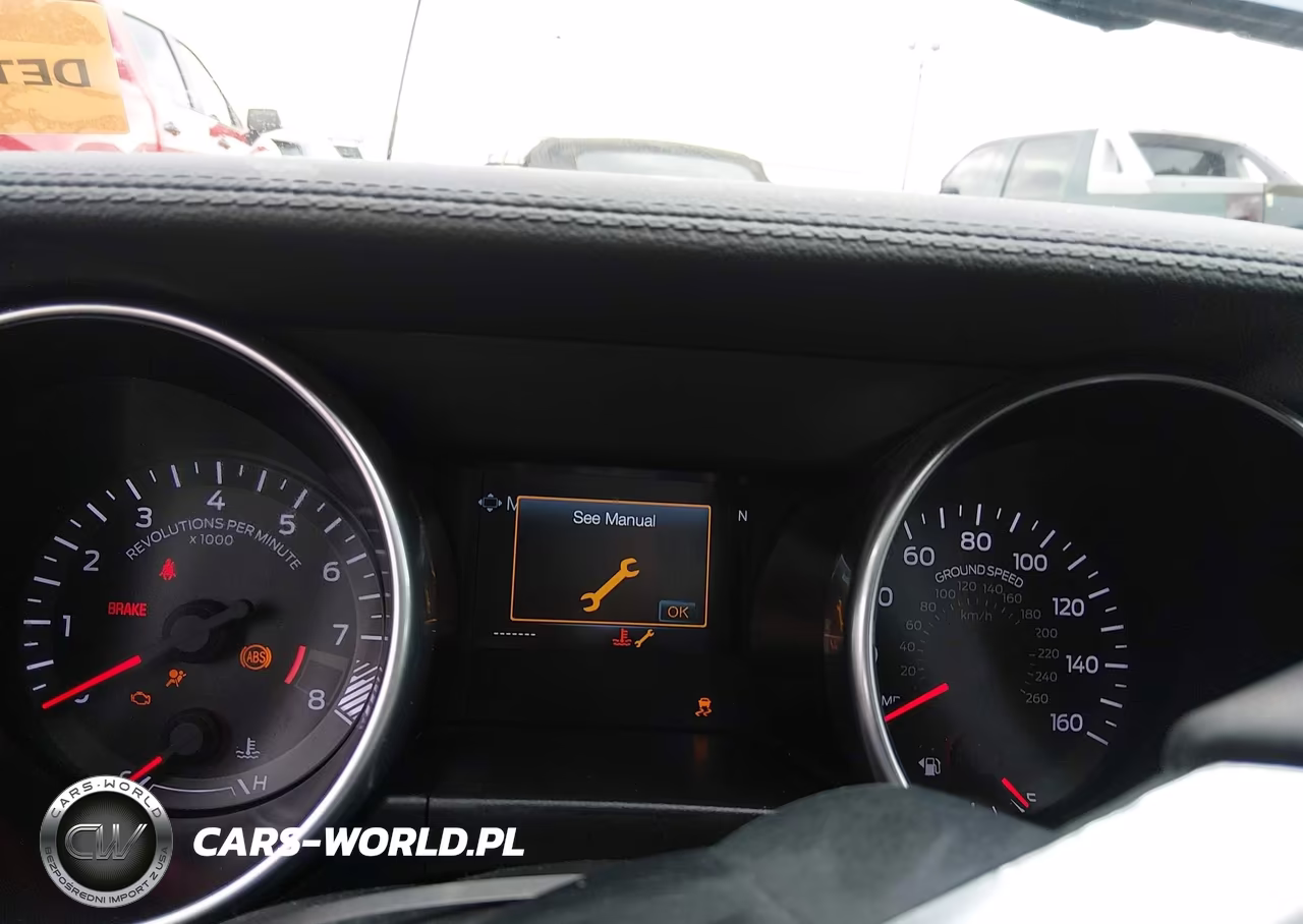 2019 Ford Mustang Gt VIN:1FA6P8CF0K5138119 - 7