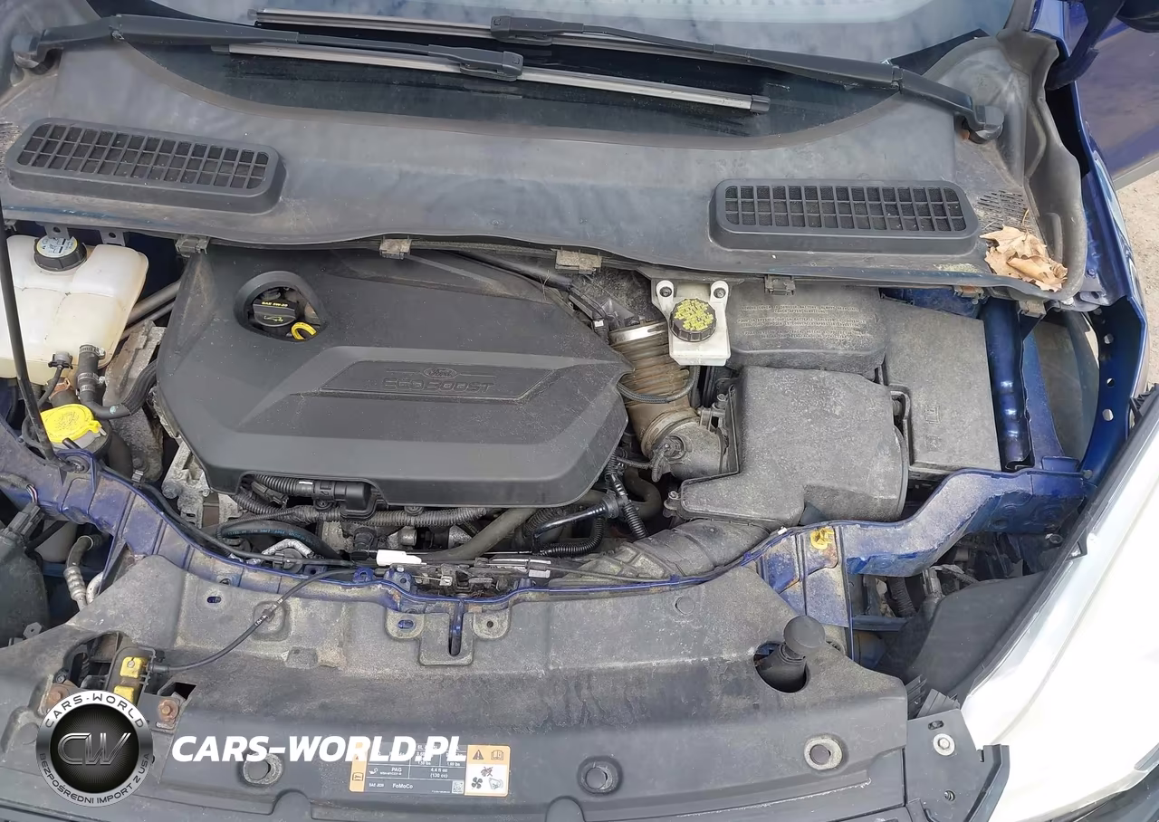 2014 Ford Escape Se VIN:1FMCU9GX9EUE04497 - 10