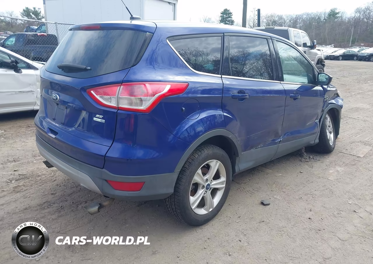 2014 Ford Escape Se VIN:1FMCU9GX9EUE04497 - 4