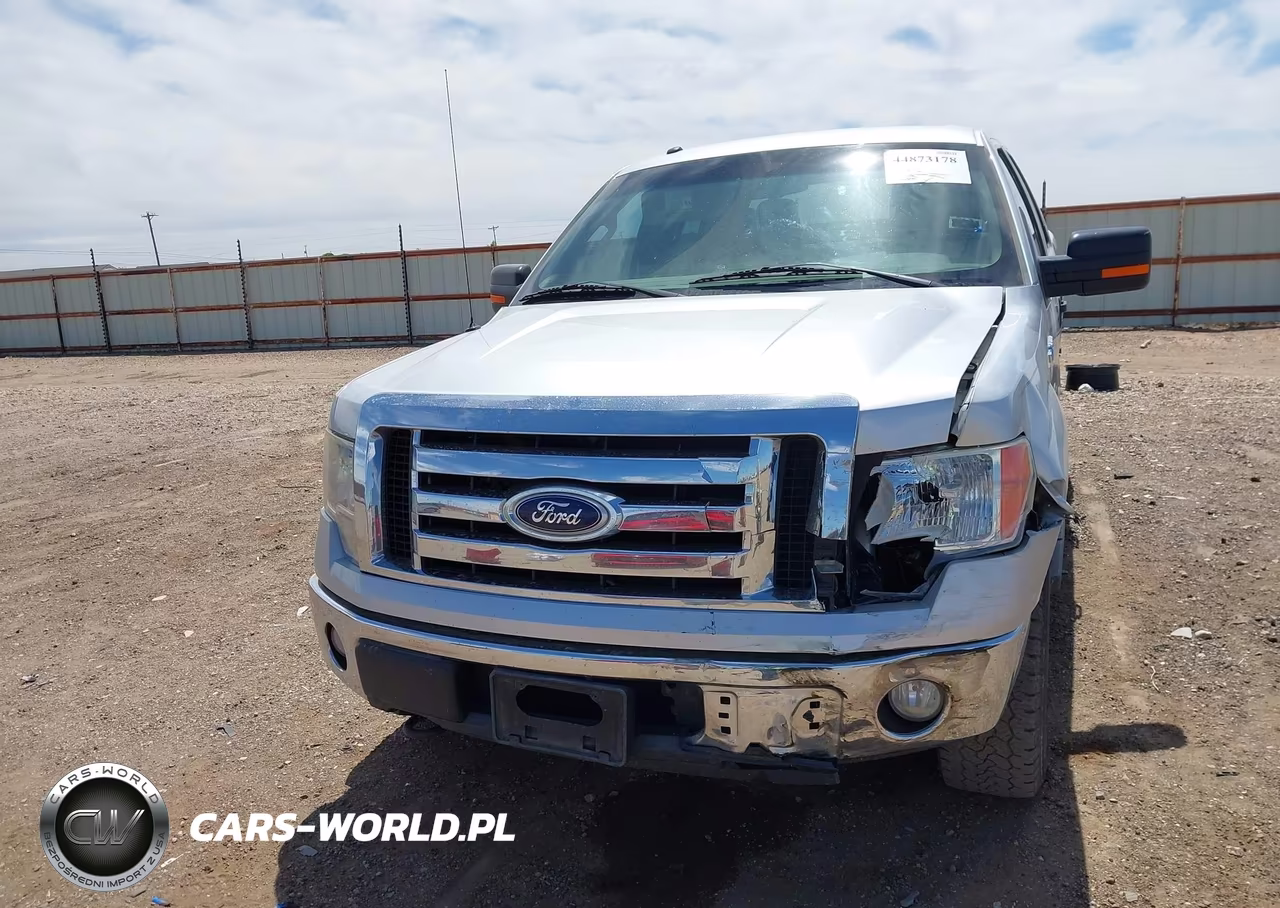 2010 Ford F-150 Fx4-Harley-Davidson-King Ranch-Lariat-Platinum-Xl-Xlt VIN:1FTFW1EV9AFC71060 - 12