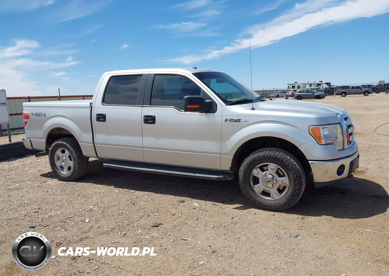 2010 Ford F-150 Fx4-Harley-Davidson-King Ranch-Lariat-Platinum-Xl-Xlt VIN:1FTFW1EV9AFC71060 - 13