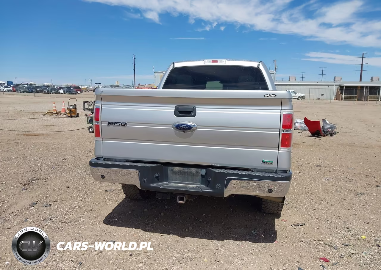 2010 Ford F-150 Fx4-Harley-Davidson-King Ranch-Lariat-Platinum-Xl-Xlt VIN:1FTFW1EV9AFC71060 - 16