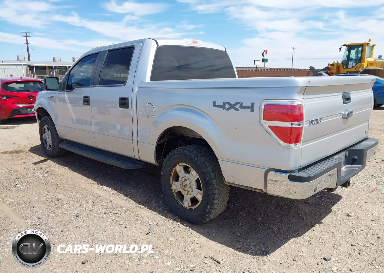 2010 Ford F-150 Fx4-Harley-Davidson-King Ranch-Lariat-Platinum-Xl-Xlt VIN:1FTFW1EV9AFC71060 - 3