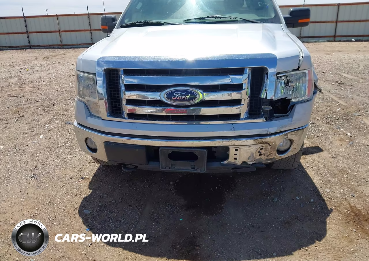 2010 Ford F-150 Fx4-Harley-Davidson-King Ranch-Lariat-Platinum-Xl-Xlt VIN:1FTFW1EV9AFC71060 - 6