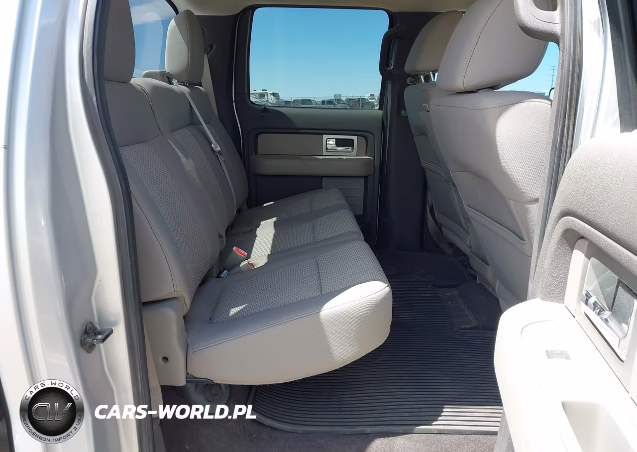 2010 Ford F-150 Fx4-Harley-Davidson-King Ranch-Lariat-Platinum-Xl-Xlt VIN:1FTFW1EV9AFC71060 - 8