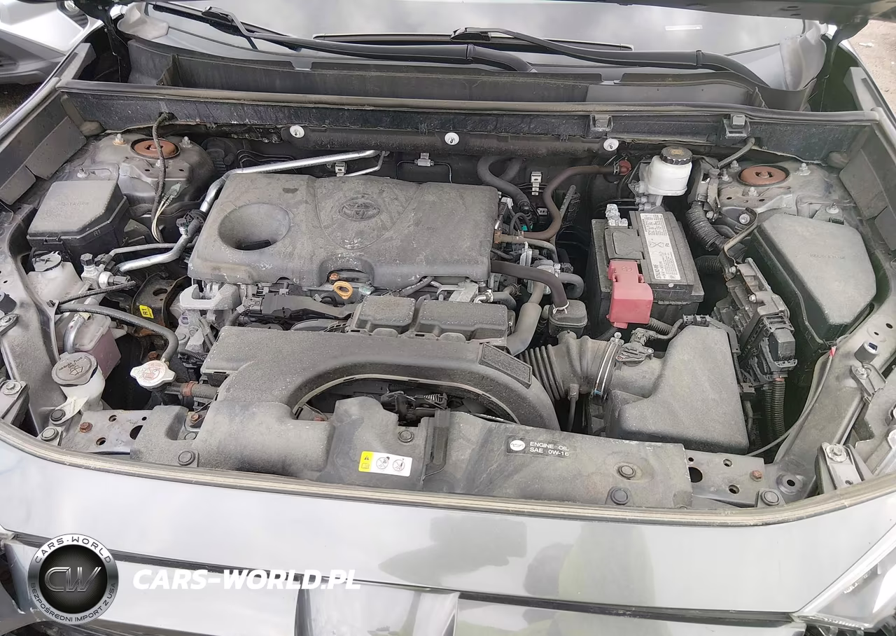 2019 Toyota Rav4 Xle VIN:2T3P1RFV6KC047259 - 10