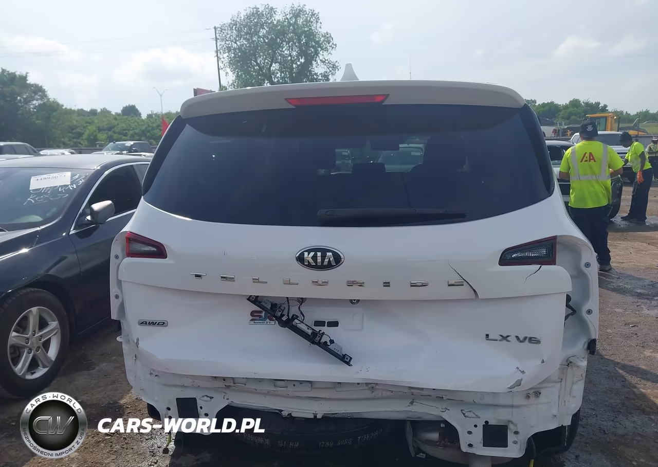2021 Kia Telluride Lx VIN:5XYP2DHC2MG147385 - 17