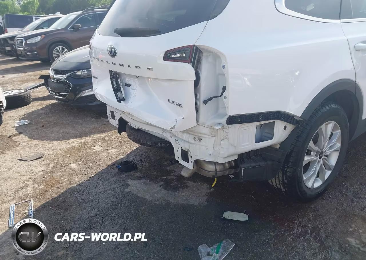 2021 Kia Telluride Lx VIN:5XYP2DHC2MG147385 - 19