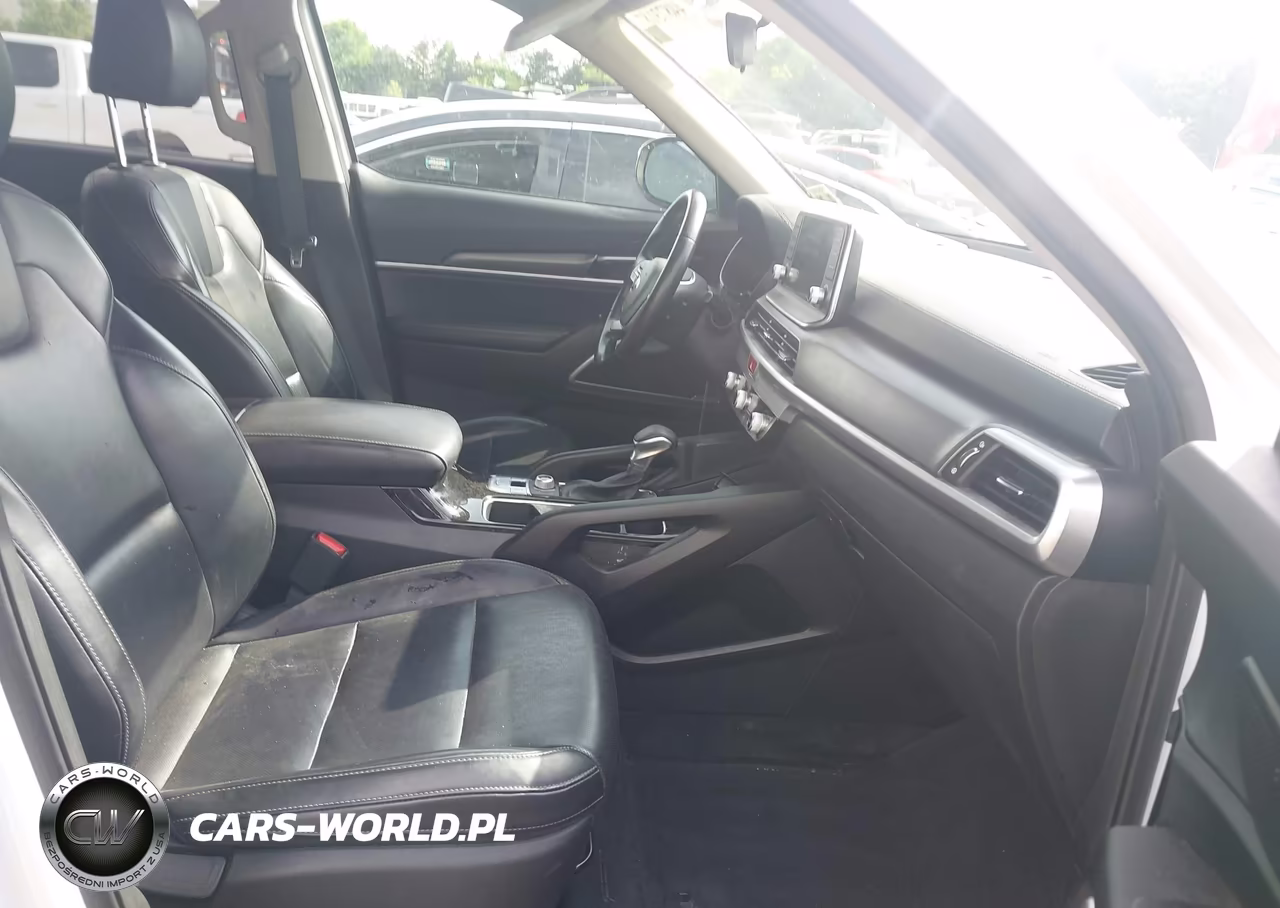 2021 Kia Telluride Lx VIN:5XYP2DHC2MG147385 - 5
