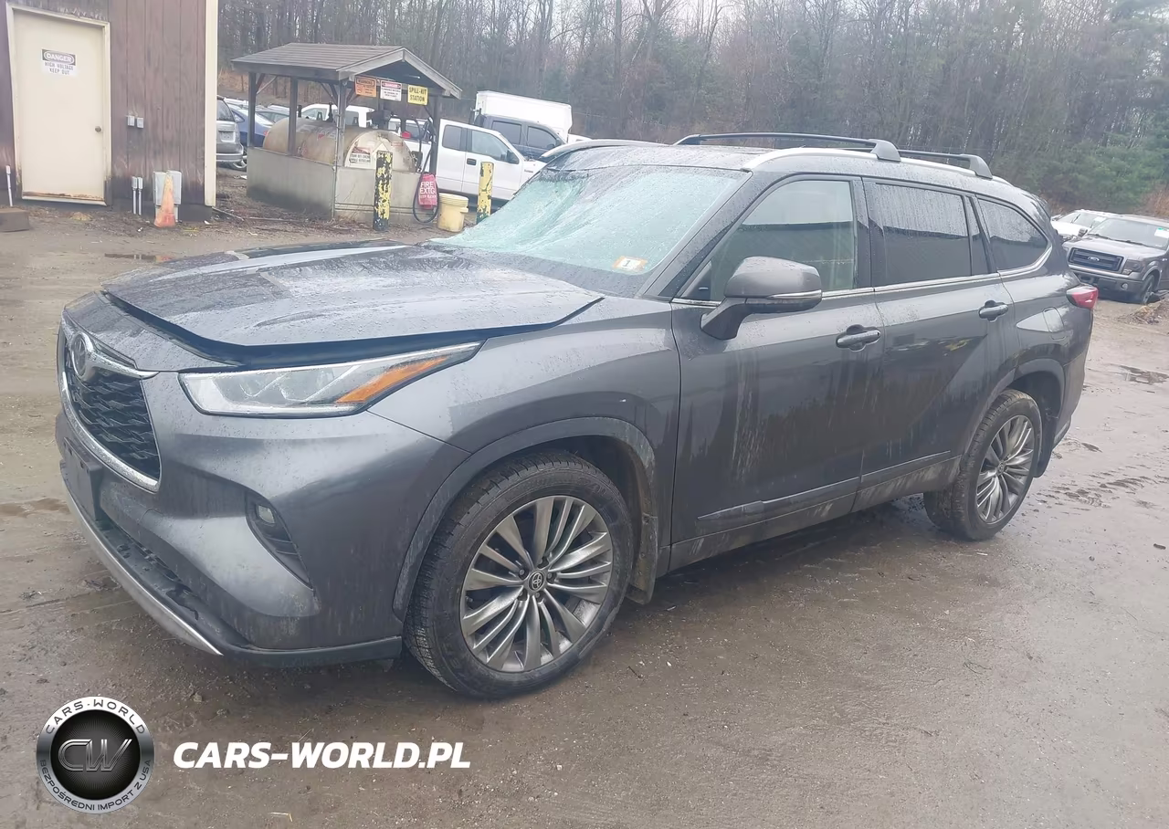 2020 Toyota Highlander Platinum VIN:5TDFZRBH7LS019413 - 2