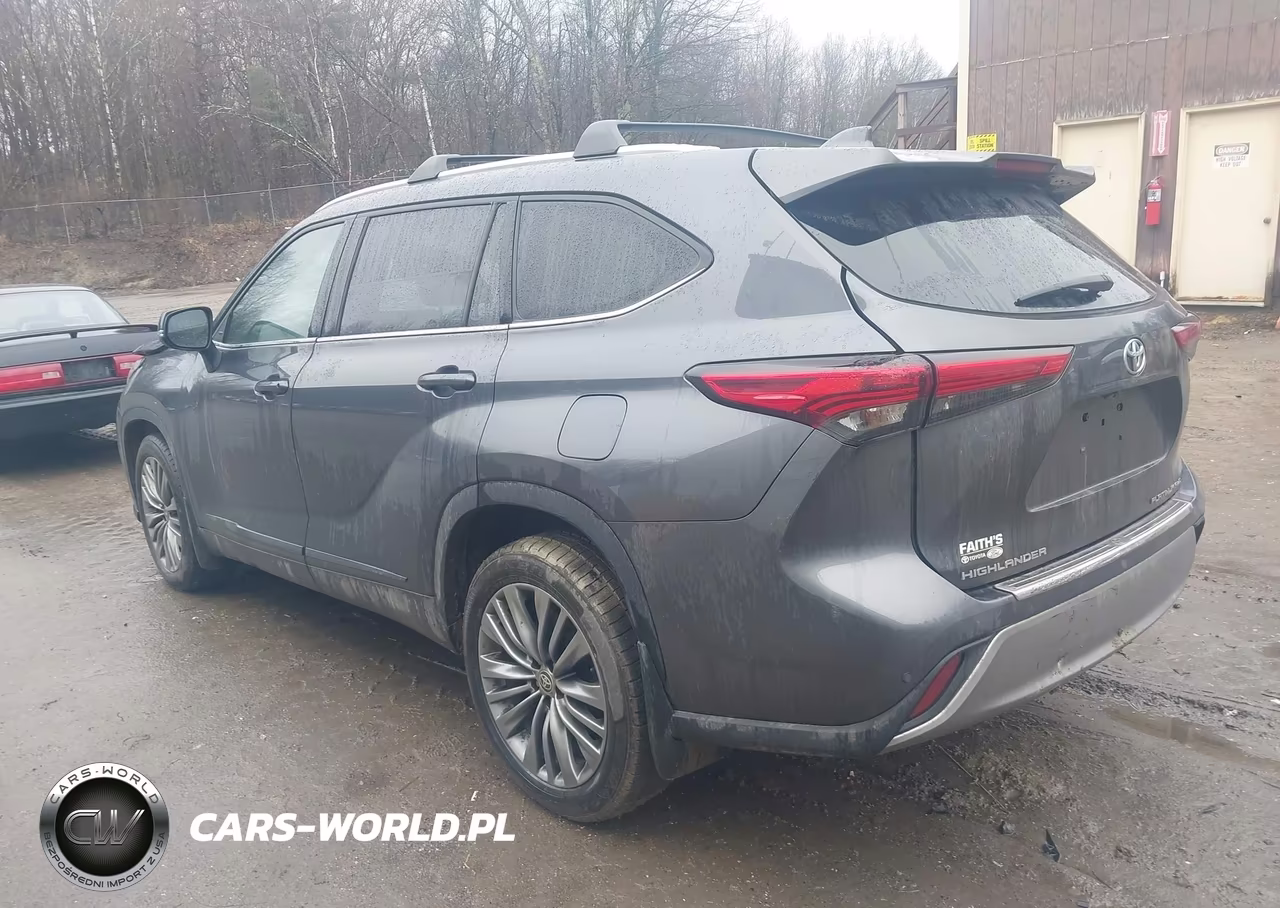 2020 Toyota Highlander Platinum VIN:5TDFZRBH7LS019413 - 3
