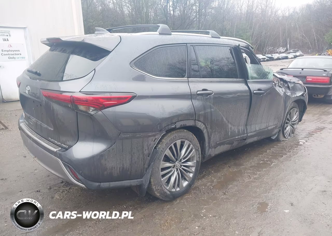 2020 Toyota Highlander Platinum VIN:5TDFZRBH7LS019413 - 4