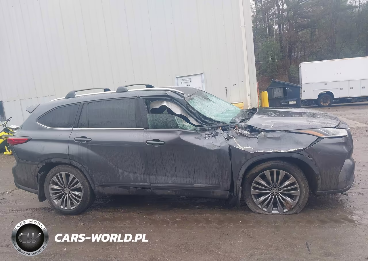 2020 Toyota Highlander Platinum VIN:5TDFZRBH7LS019413 - 6