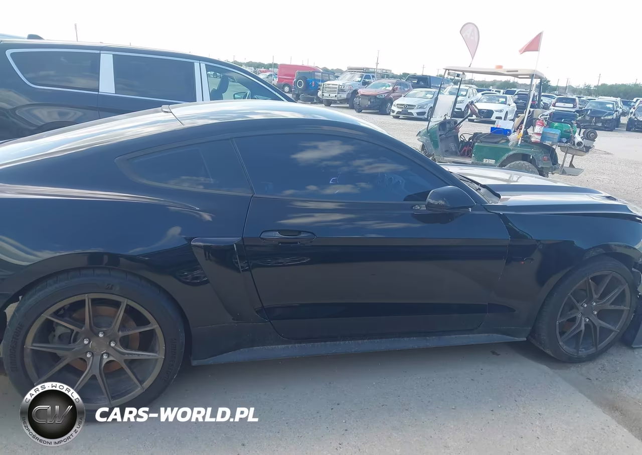 2017 Ford Mustang Gt VIN:1FA6P8CF1H5353405 - 13