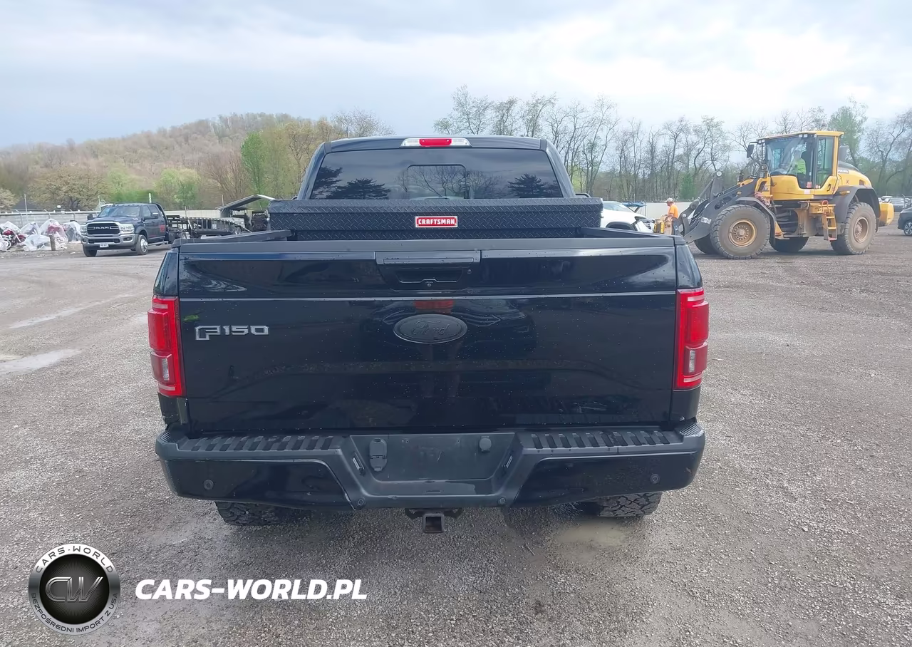 2016 Ford F-150 Lariat VIN:1FTFW1EG2GFD44201 - 17
