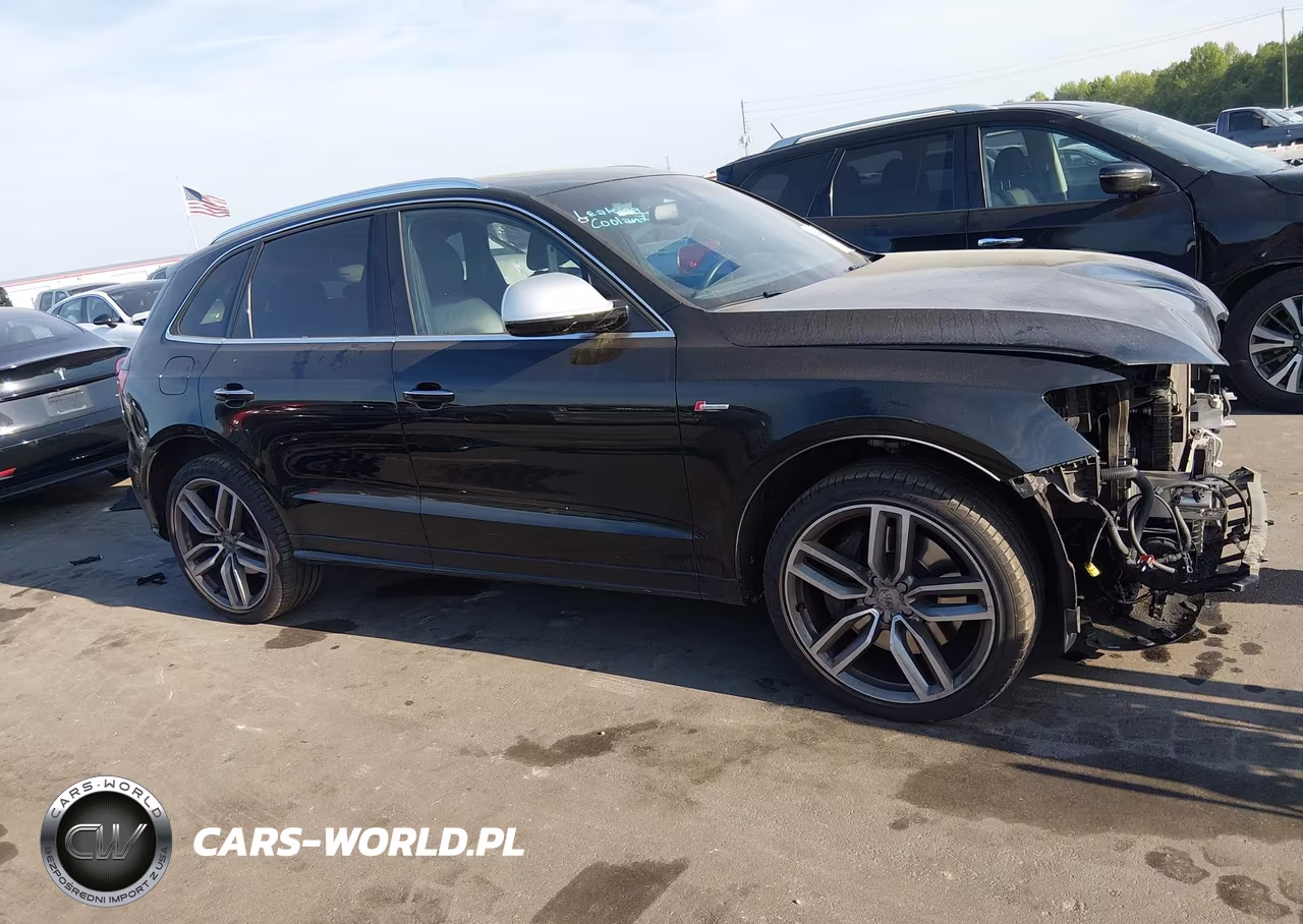 2015 Audi Sq5 3.0T Premium Plus VIN:WA1CGAFPXFA141481 - 14