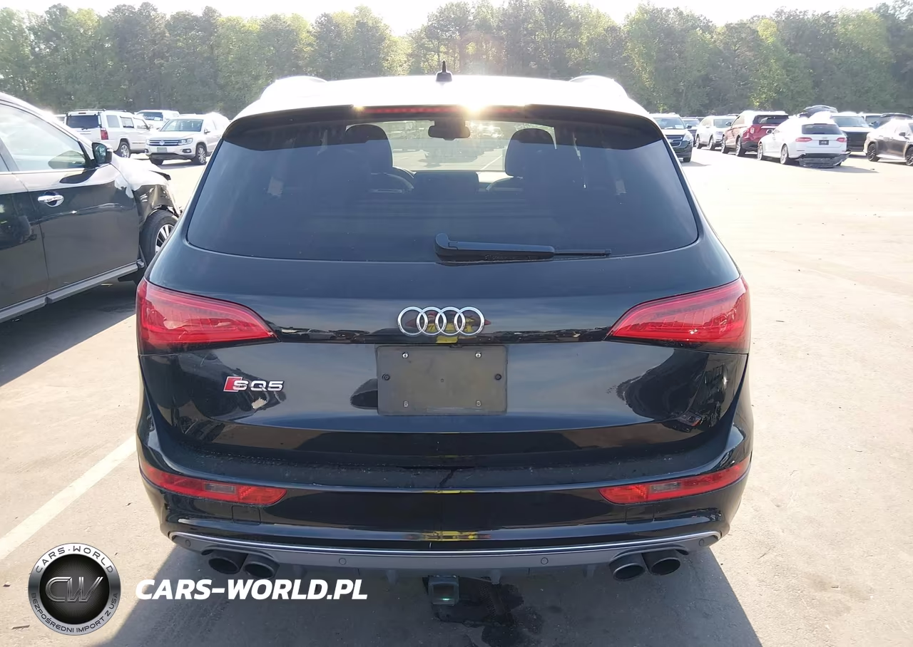 2015 Audi Sq5 3.0T Premium Plus VIN:WA1CGAFPXFA141481 - 17