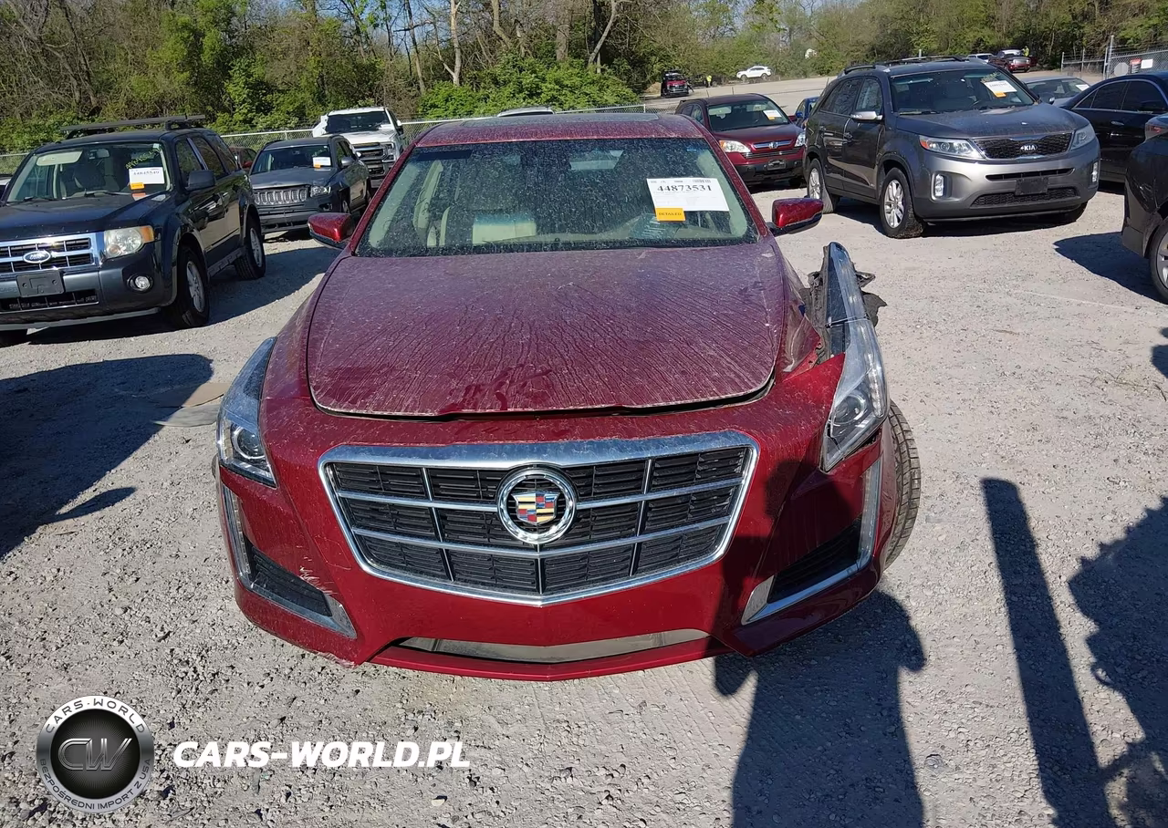2014 Cadillac Cts Luxury VIN:1G6AX5SX6E0196513 - 12