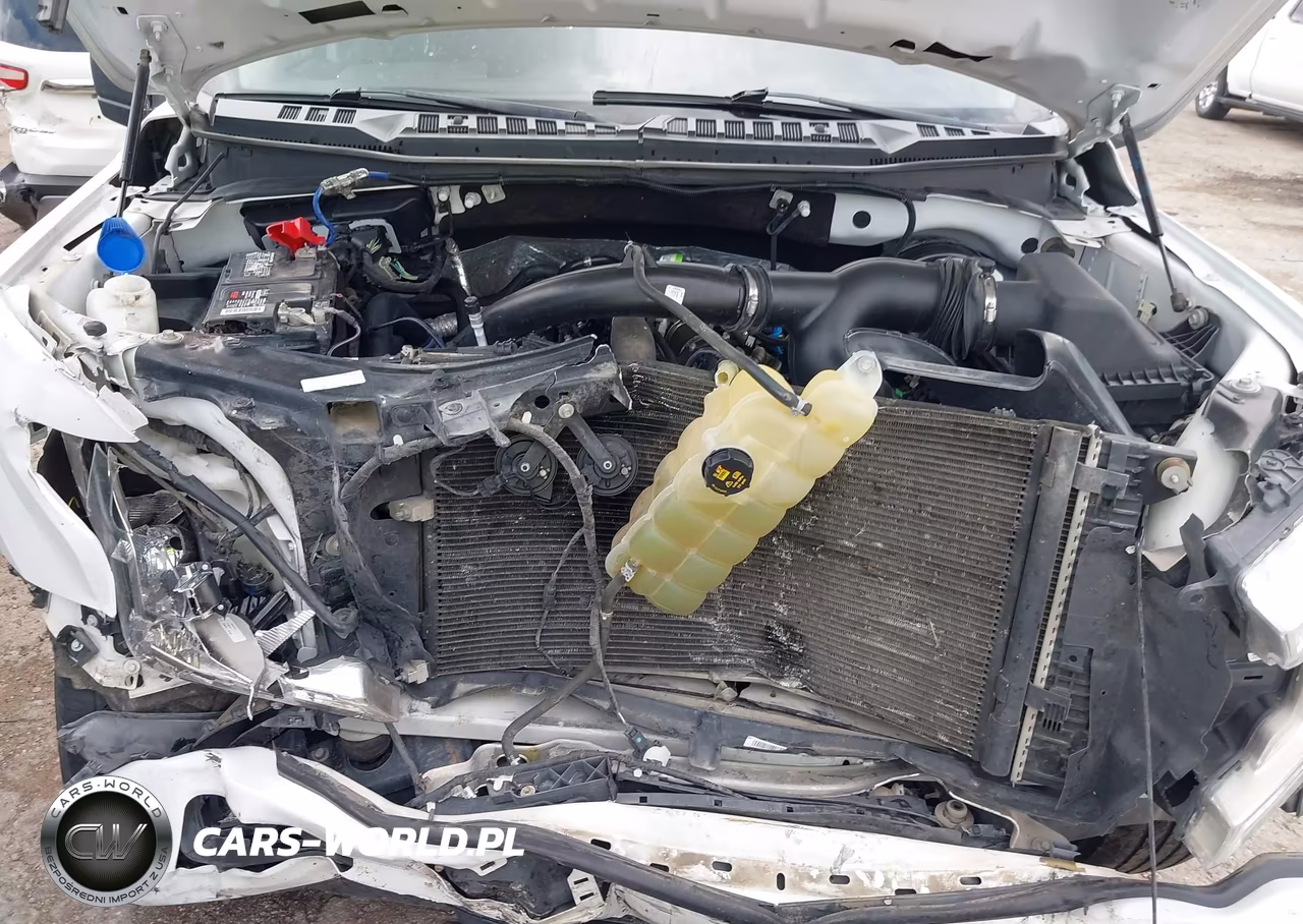2019 Ford F-150 Xl VIN:1FTEW1CPXKKE32900 - 10