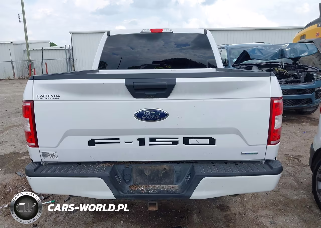 2019 Ford F-150 Xl VIN:1FTEW1CPXKKE32900 - 17