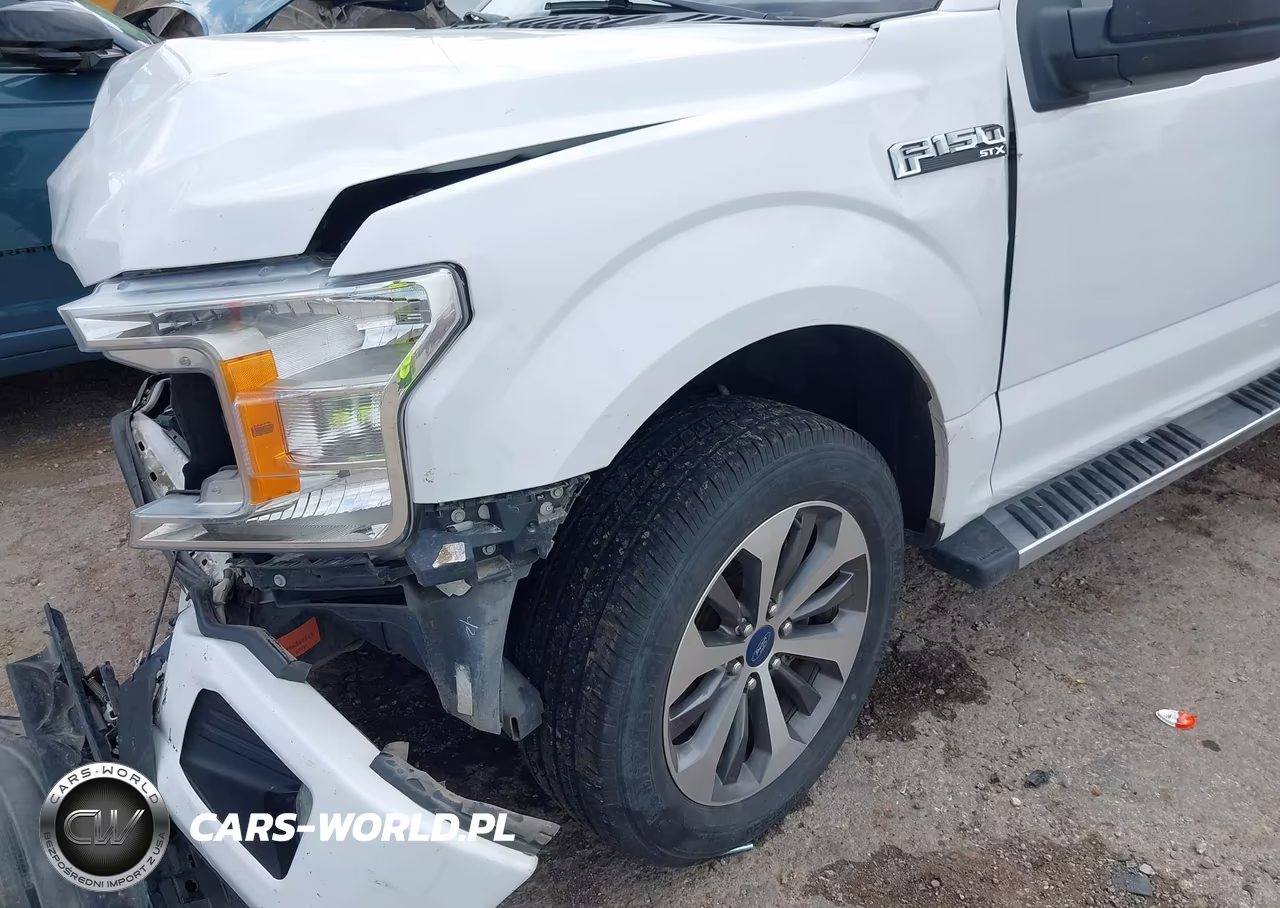 2019 Ford F-150 Xl VIN:1FTEW1CPXKKE32900 - 6