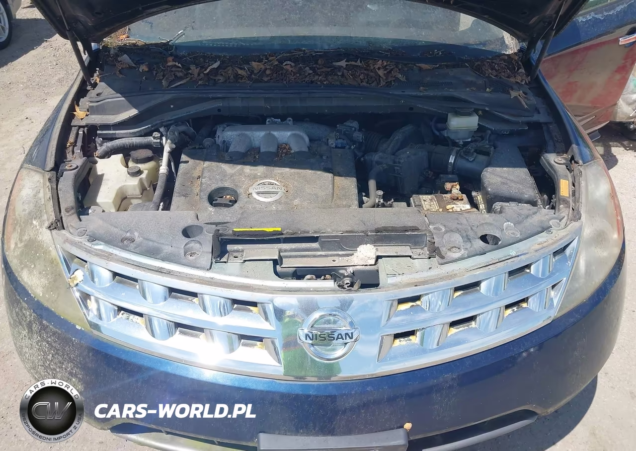 2004 Nissan Murano Sl VIN:JN8AZ08T04W215507 - 10