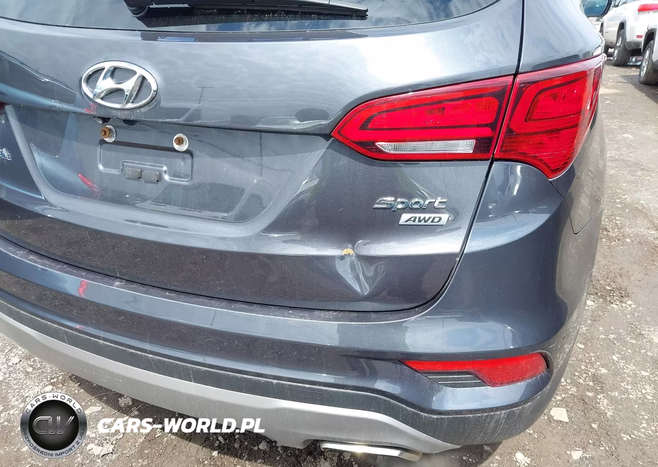 2017 Hyundai Santa Fe Sport 2.4L VIN:5XYZUDLB2HG484484 - 6