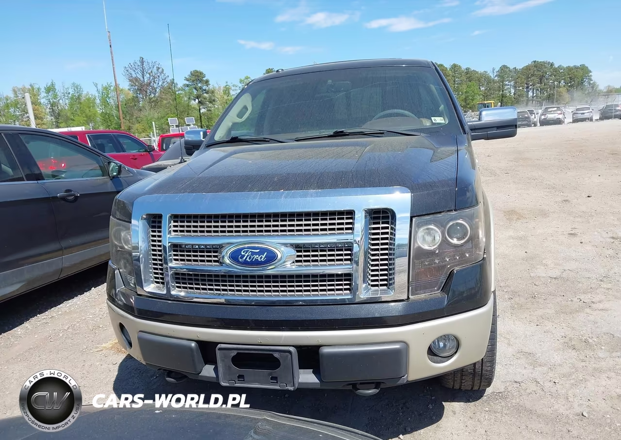 2010 Ford F-150 Fx4-Harley-Davidson-King Ranch-Lariat-Platinum-Xl-Xlt VIN:1FTFW1EV4AKC18760 - 12