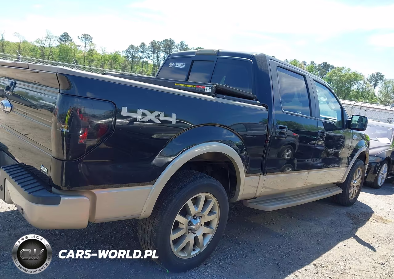 2010 Ford F-150 Fx4-Harley-Davidson-King Ranch-Lariat-Platinum-Xl-Xlt VIN:1FTFW1EV4AKC18760 - 13