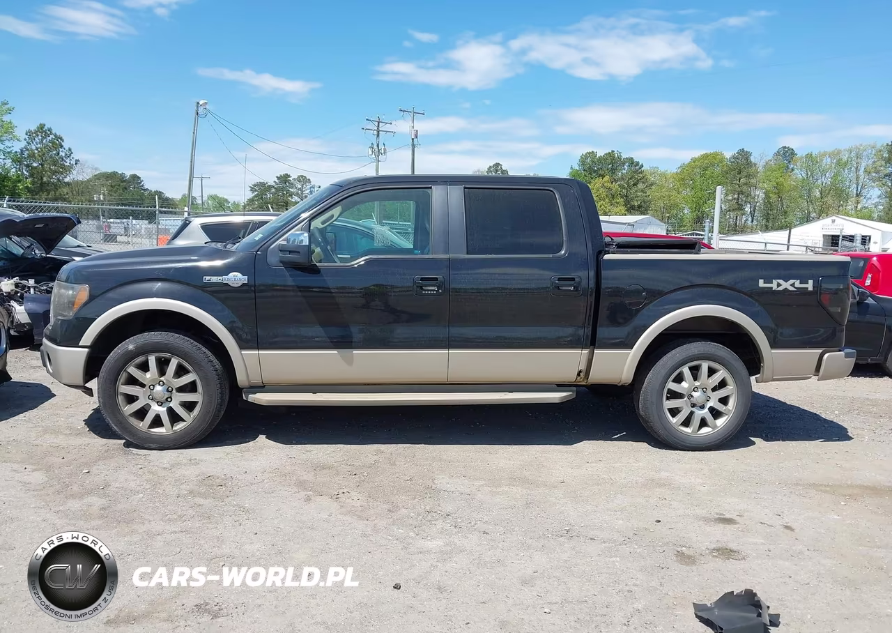 2010 Ford F-150 Fx4-Harley-Davidson-King Ranch-Lariat-Platinum-Xl-Xlt VIN:1FTFW1EV4AKC18760 - 14