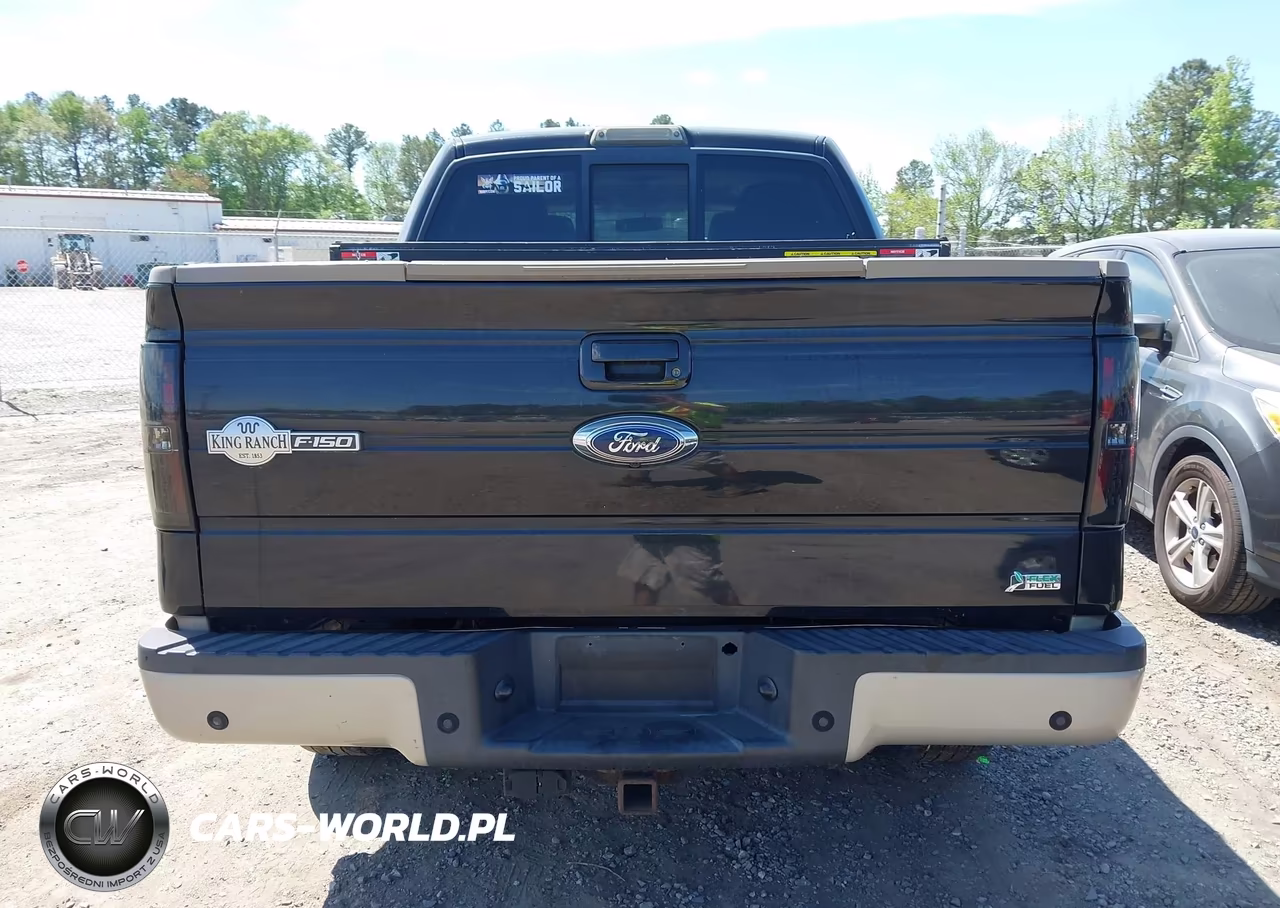 2010 Ford F-150 Fx4-Harley-Davidson-King Ranch-Lariat-Platinum-Xl-Xlt VIN:1FTFW1EV4AKC18760 - 16