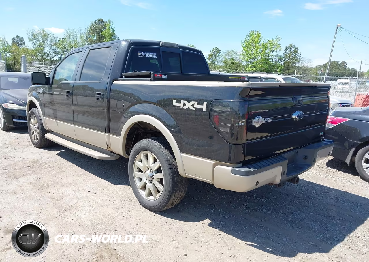 2010 Ford F-150 Fx4-Harley-Davidson-King Ranch-Lariat-Platinum-Xl-Xlt VIN:1FTFW1EV4AKC18760 - 3