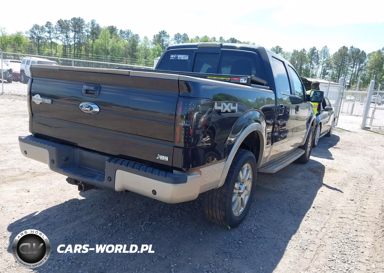 2010 Ford F-150 Fx4-Harley-Davidson-King Ranch-Lariat-Platinum-Xl-Xlt VIN:1FTFW1EV4AKC18760 - 4