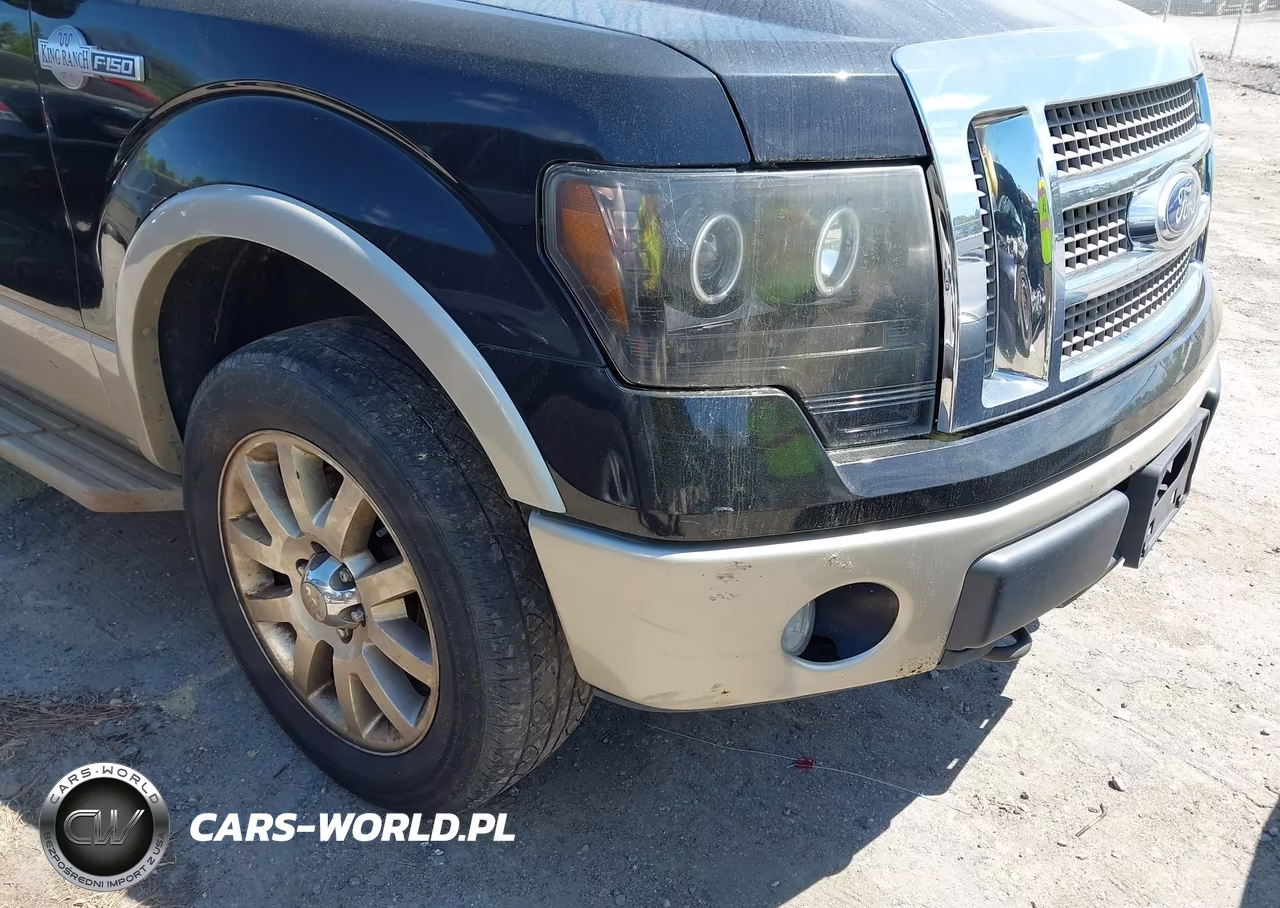 2010 Ford F-150 Fx4-Harley-Davidson-King Ranch-Lariat-Platinum-Xl-Xlt VIN:1FTFW1EV4AKC18760 - 6