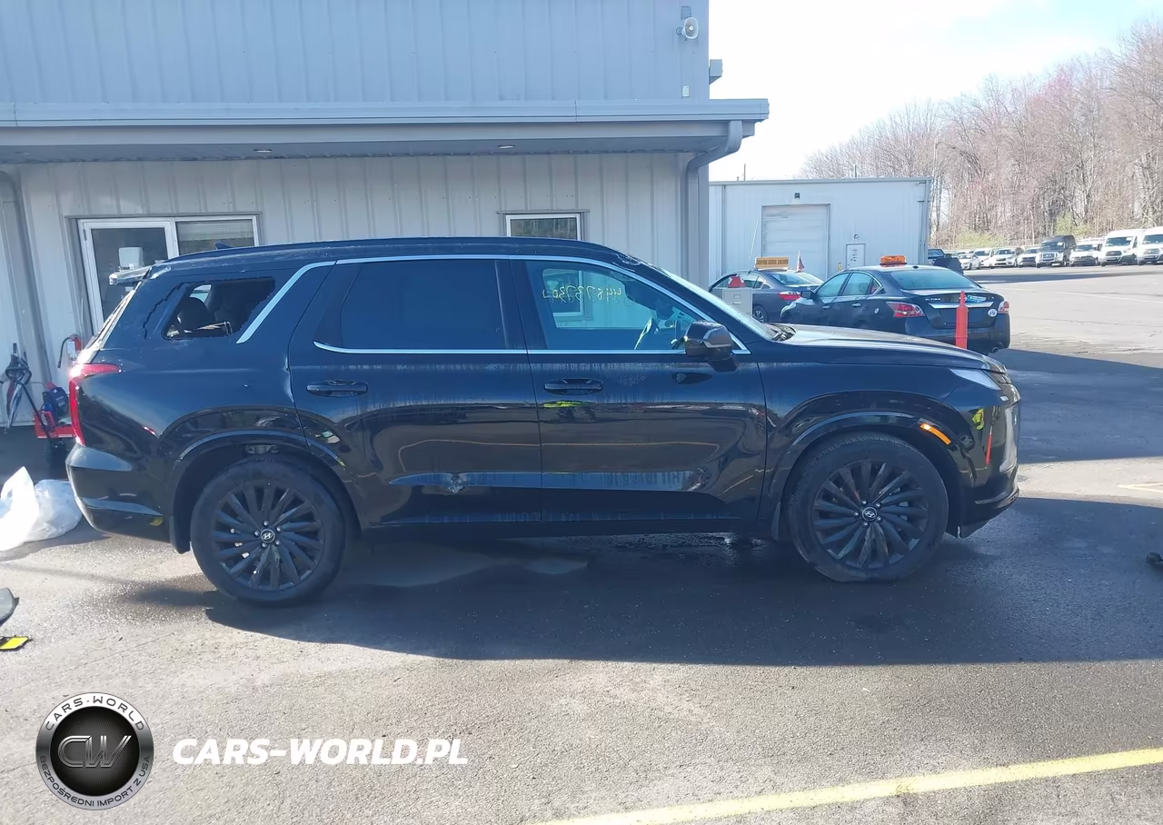 2025 Hyundai Palisade Calligraphy Night Edition VIN:KM8R7DGE8SU919182 - 14