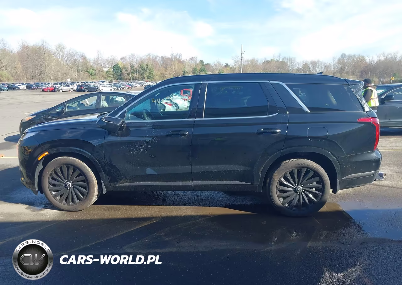 2025 Hyundai Palisade Calligraphy Night Edition VIN:KM8R7DGE8SU919182 - 15