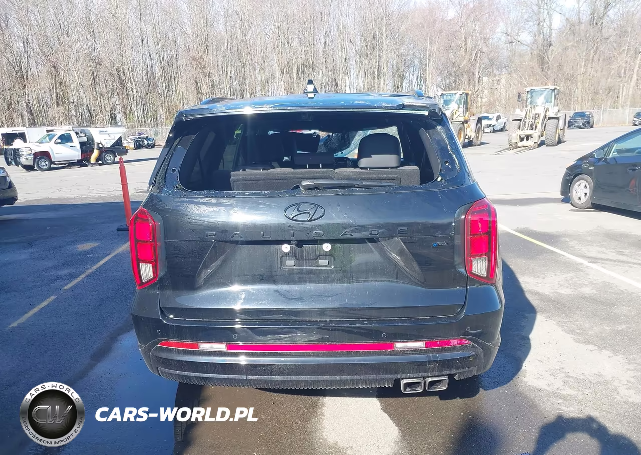 2025 Hyundai Palisade Calligraphy Night Edition VIN:KM8R7DGE8SU919182 - 17