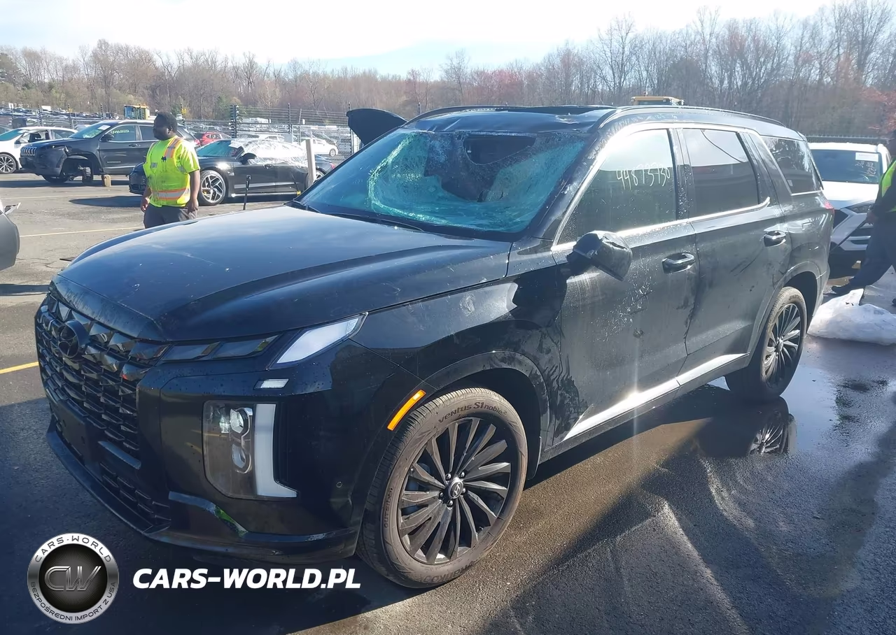 2025 Hyundai Palisade Calligraphy Night Edition VIN:KM8R7DGE8SU919182 - 2