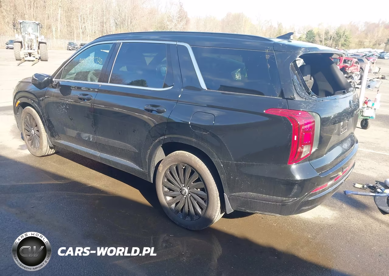 2025 Hyundai Palisade Calligraphy Night Edition VIN:KM8R7DGE8SU919182 - 3