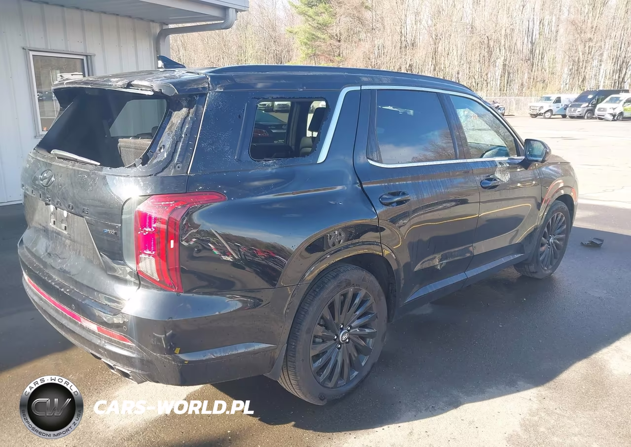 2025 Hyundai Palisade Calligraphy Night Edition VIN:KM8R7DGE8SU919182 - 4