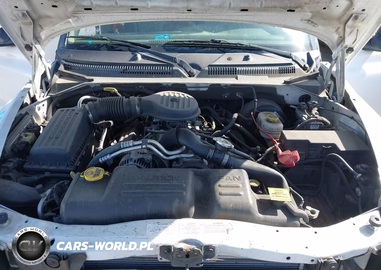 2003 Dodge Durango Slt Plus VIN:1D8HS58Z33F560563 - 10