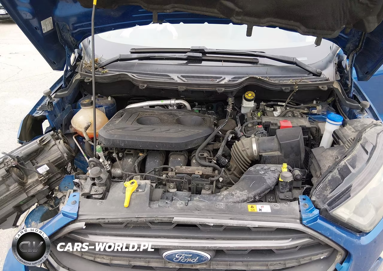 2018 Ford Ecosport Ses VIN:MAJ6P1CL9JC166931 - 10