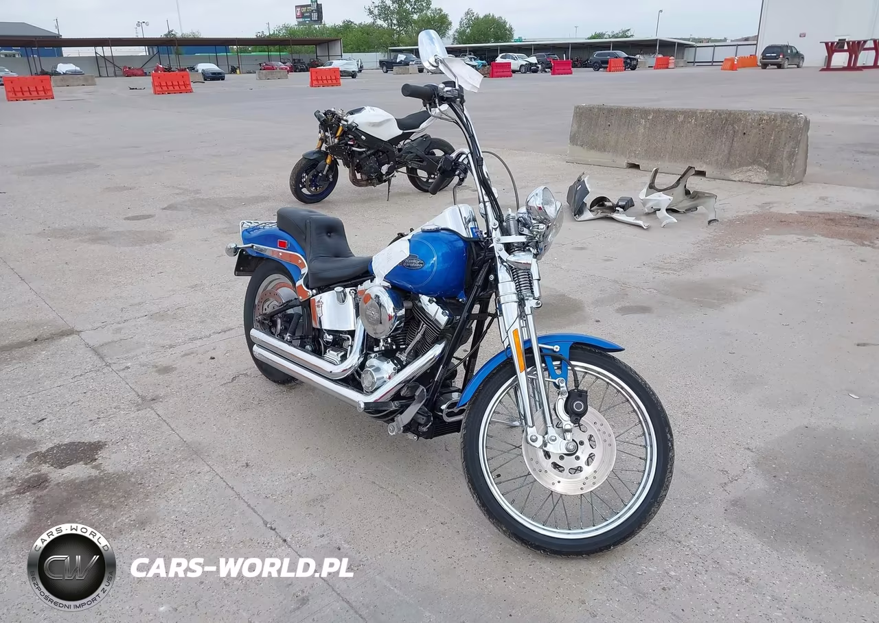 2002 Harley-Davidson Fxsts
