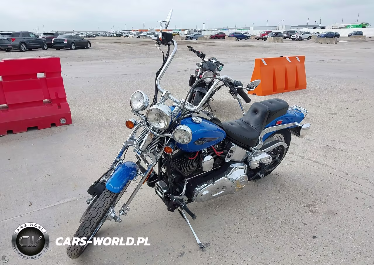 2002 Harley-Davidson Fxsts VIN:1HD1BLY112Y012478 - 2