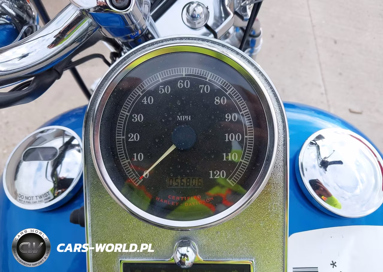 2002 Harley-Davidson Fxsts VIN:1HD1BLY112Y012478 - 7