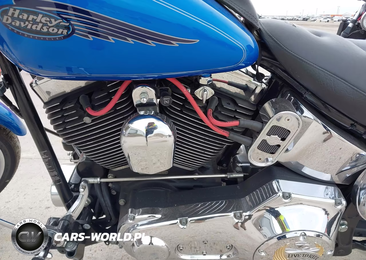 2002 Harley-Davidson Fxsts VIN:1HD1BLY112Y012478 - 9