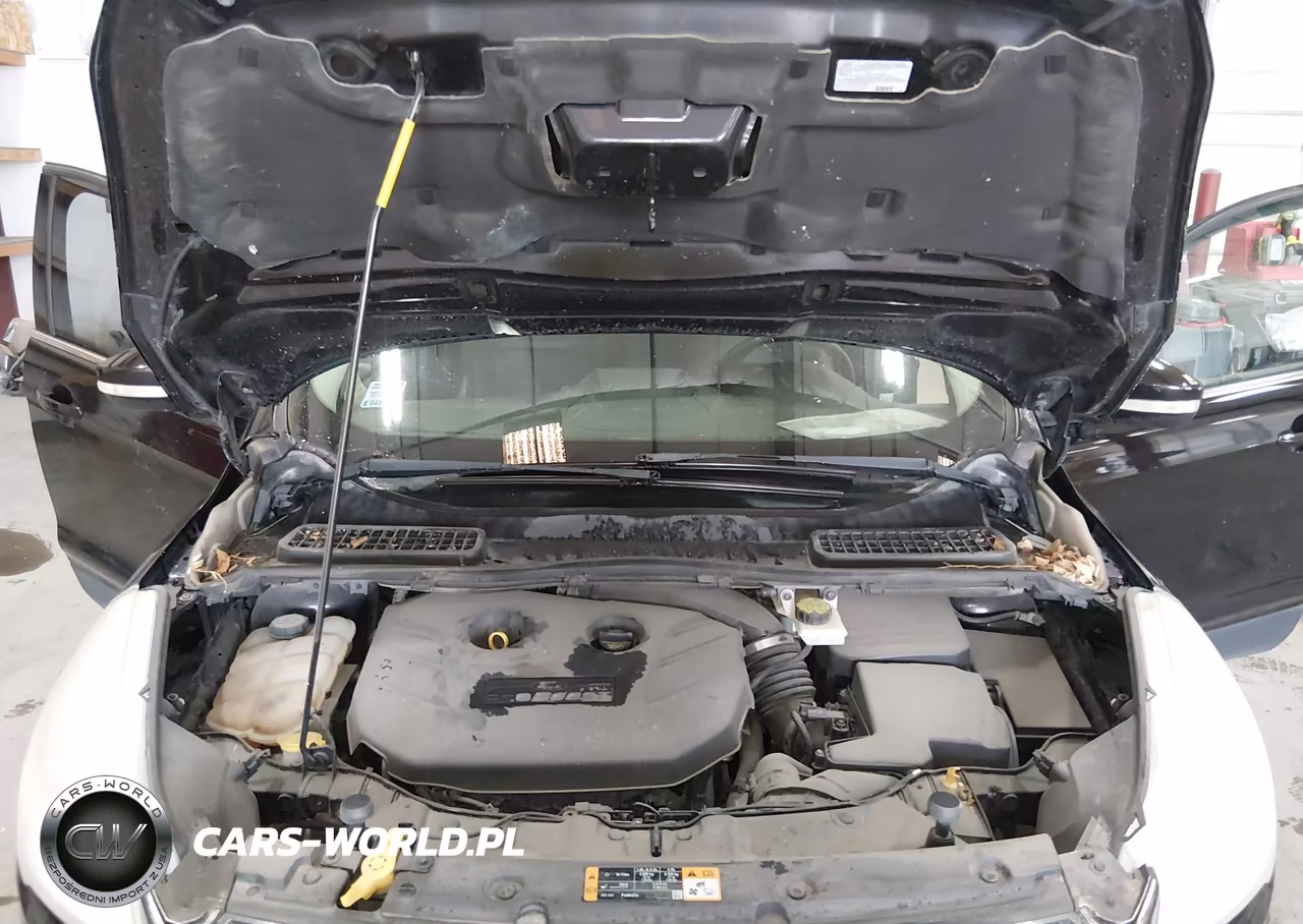 2013 Ford Escape Sel VIN:1FMCU0H94DUC24841 - 10