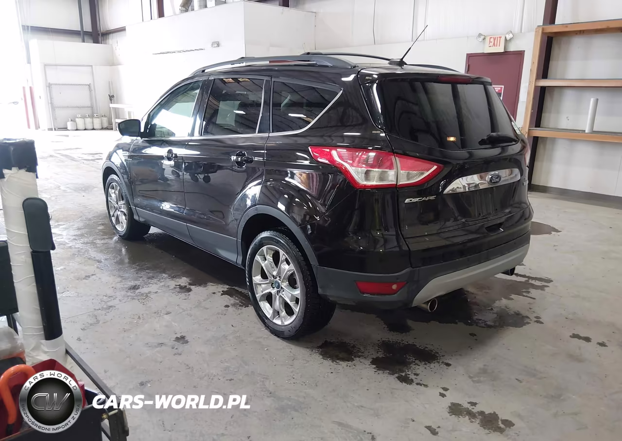 2013 Ford Escape Sel VIN:1FMCU0H94DUC24841 - 3